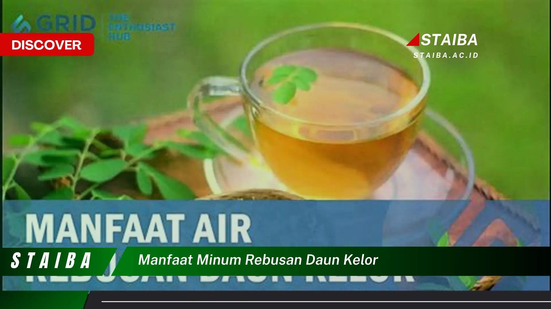 Ketahui 9 Manfaat Minum Rebusan Daun Kelor untuk Kesehatan Tubuh Anda