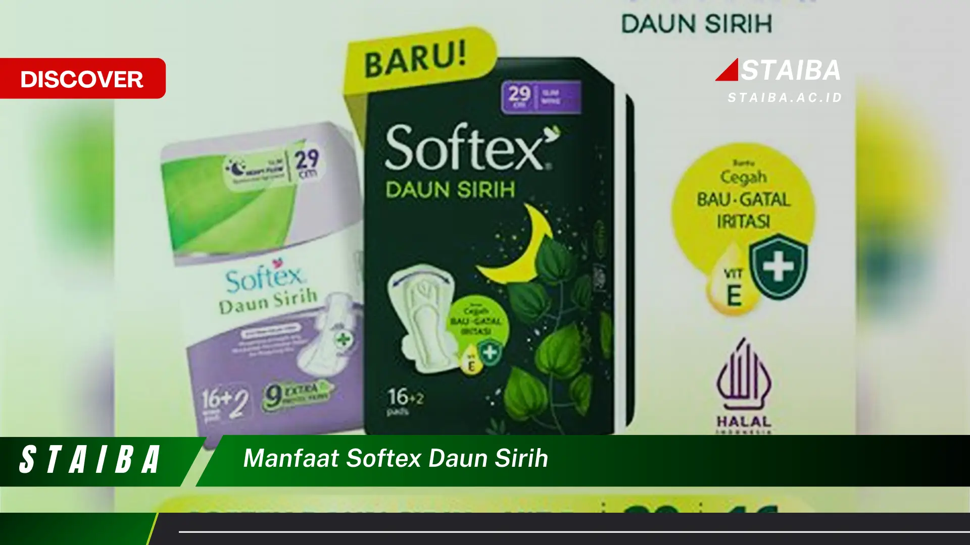 Ketahui 10 Manfaat Softex Daun Sirih untuk Sensasi Kesegaran Sepanjang Hari Ketahui 10 Manfaat Softex Daun Sirih untuk Sensasi Kesegaran Sepanjang Hari