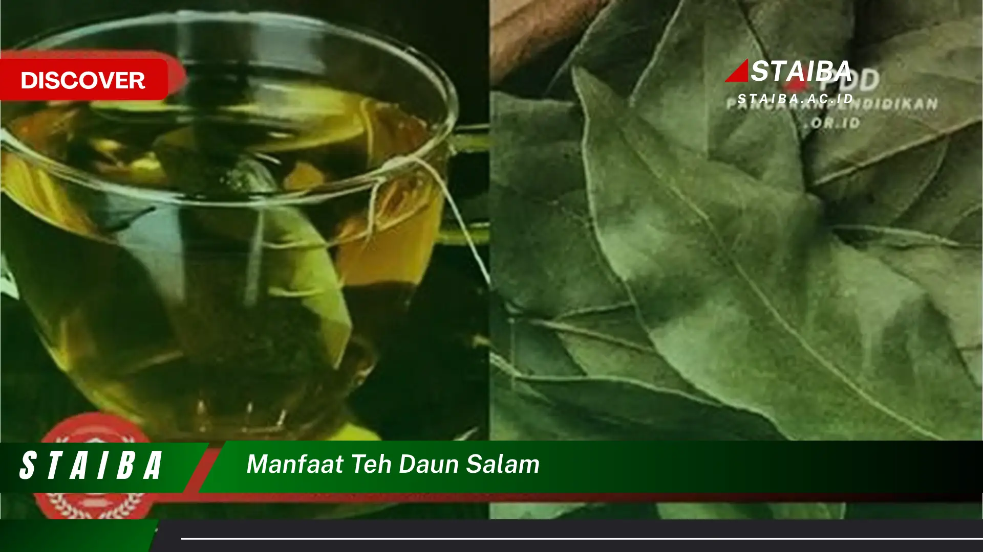 Ketahui 9 Manfaat Teh Daun Salam untuk Kesehatan Tubuh Anda